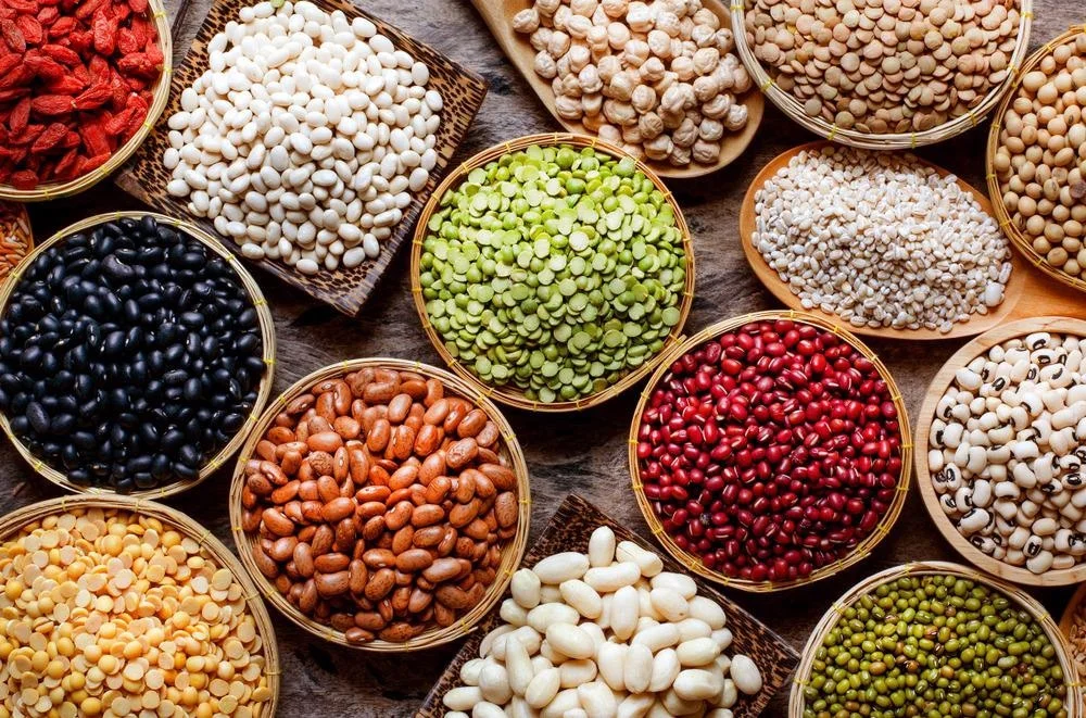 Grain and Pulses